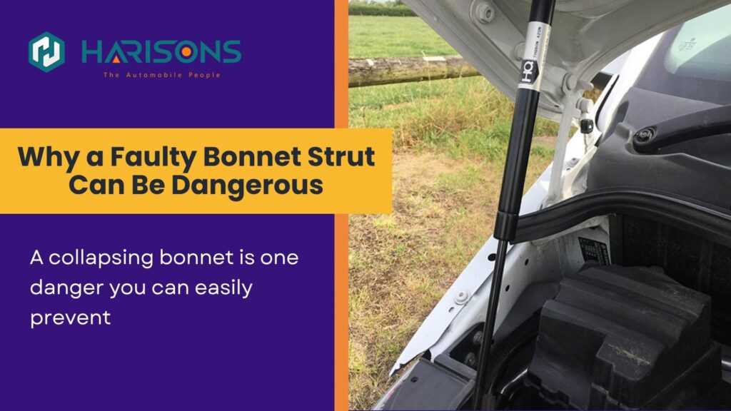 bonnet strut