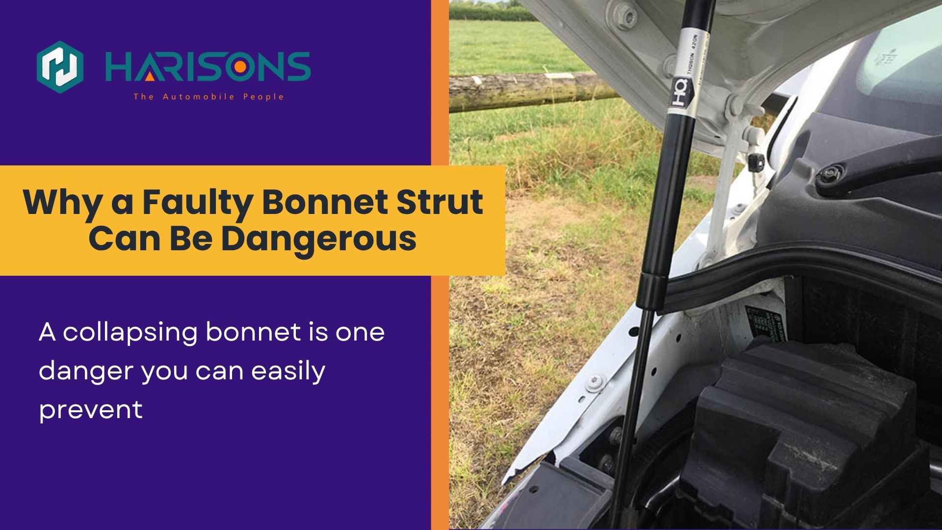 Bonnet Strut Problems That Can Put You at Risk